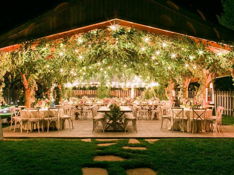 Outdoor Wedding